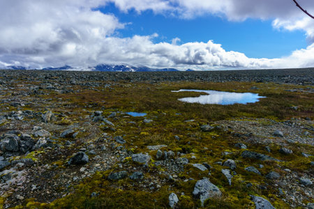 Footpath leading through national park in norwayの写真素材