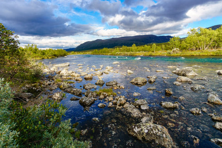 Mountain Stream at Norway
