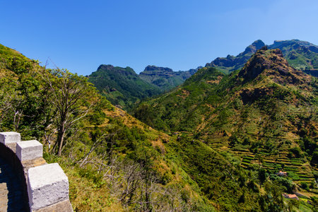 Panoramic view of the agricultural fields in Portugal at summerの写真素材