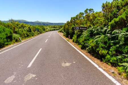 Endless road, Madeira island at summerの写真素材