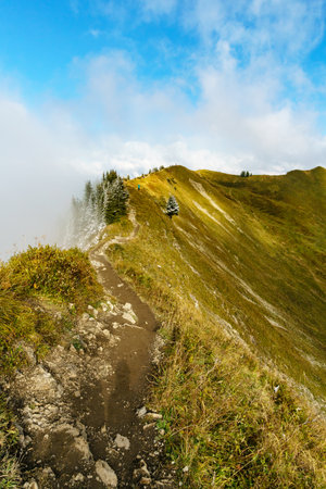 Hiking trail in the mountain landscape of the Allgau Alpsの写真素材