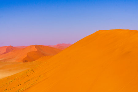 Men observed sand desertの写真素材