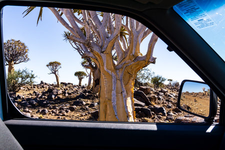 MESOSAURUS FOSSIL BUSH CAMP, NAMIBIA - 25 August 2018: side view mirror of a car , on road in the desert outbackのeditorial素材