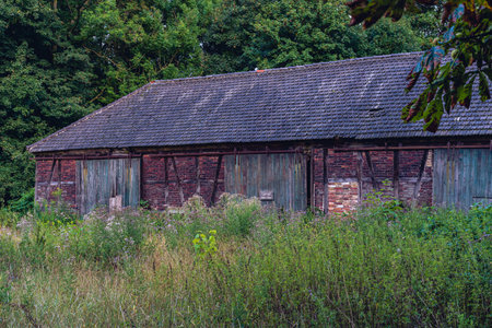 old weathered barn in field of green grass, pasture and treesの写真素材