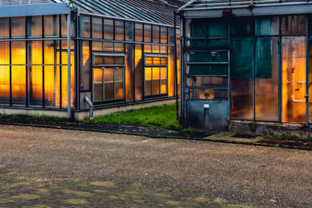 Lit greenhouse at nightの写真素材