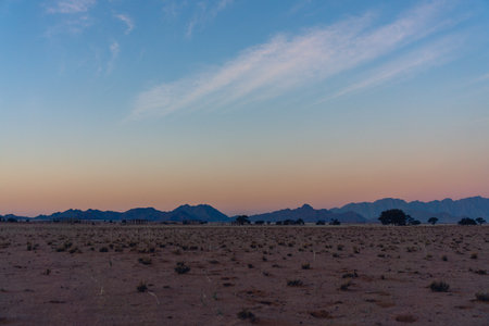 Joshua Tree National Park sunsetの写真素材