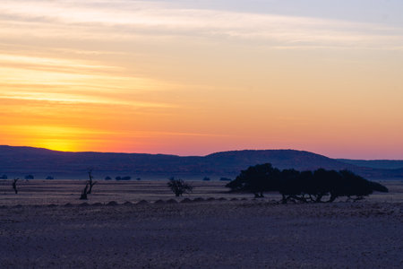 Majestic fiery sunset in the Gobi Desert. Mongolia.の写真素材