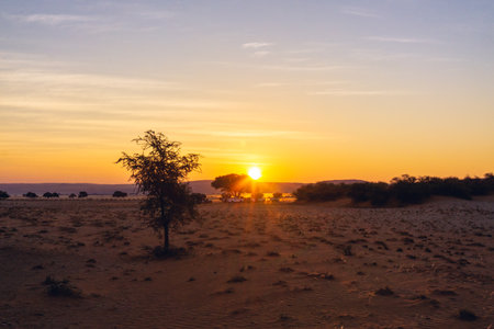 Colorful evening sky over the Kalahari landscape. Dramatic clouds illuminated by setting sun. Kalahari desert, Botswana.の写真素材