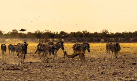 A gathering of african animals at a waterholeの写真素材