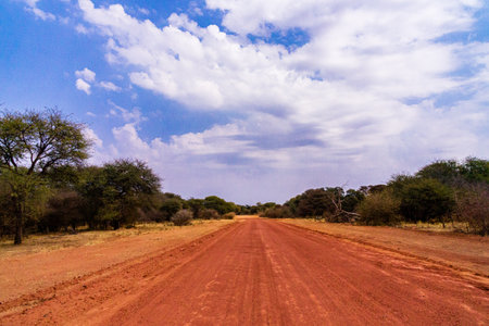 Namibia NamibRand nature reserve offroad track near watergerbの写真素材
