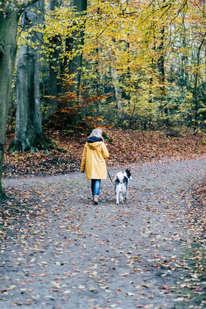 autumn forest away yellow jacket woman dog