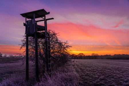 highseat for hunting at forest's edge with beautiful morning sunの写真素材