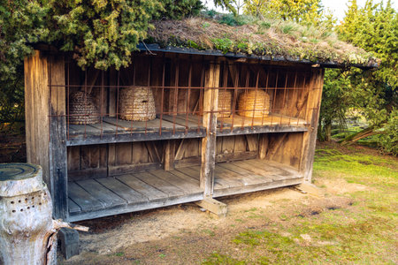 Bee baskets under a wooden roofの写真素材