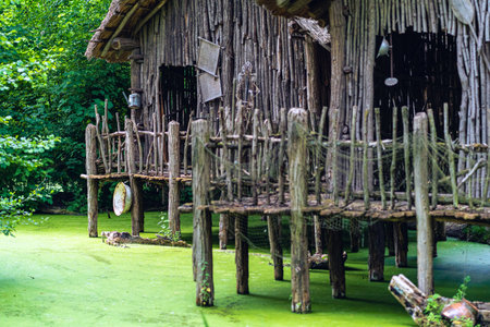 Old house in a swamp in New Orleans Louisiana USAの写真素材