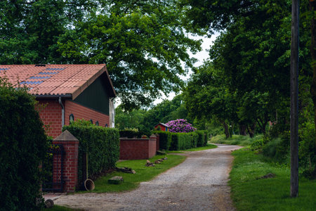 way walk country outside road wayの写真素材