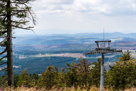 A cable car over forrest in germany with dead treesの写真素材