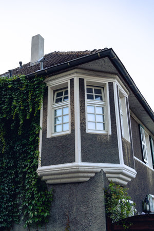 Bay window of older vine covered brick houseの写真素材