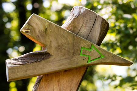Wooden Signpost Arrow in Forestの写真素材