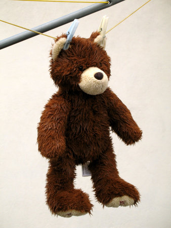 bear no washing lineの写真素材