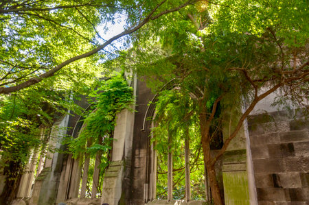 The ruins of the church of St Dunstan-in-the-East in the heart of Londonの写真素材