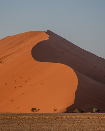 A portrait view of the curve of a vast sand dune in Sossusvlei, Namibia with the rising sun hitting one side of the dune and the other is in shadowの写真素材