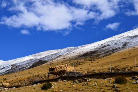 View in Tibet の写真素材