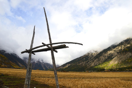 Autumn Pasture の写真素材