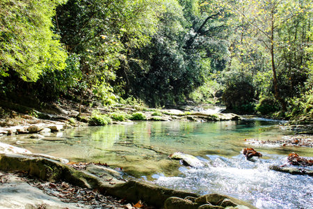 RÃ­o Escanela, Sierra Gorda de QuerÃ©taro, Mexico, green river surrounded by trees and bushes