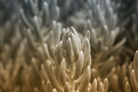 Tropical plantの写真素材