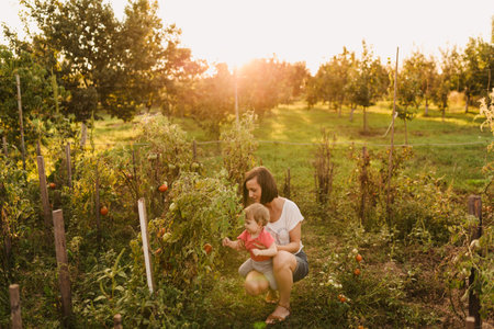 Mother and baby daughter outside in the sunsetの写真素材