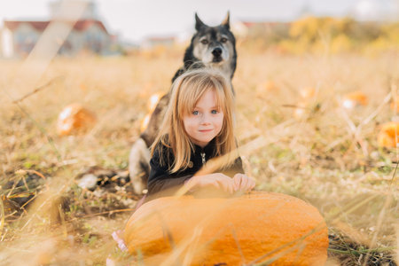 Child with dog playing in the pumpkin field on Halloweenの写真素材