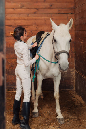 Girl jockey preparing her horse for riding in the stableの写真素材