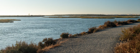 Panoramic photograph in which you can see a path through a lake with a dry tree on the left while on the right is the silhouettes of houses.の写真素材