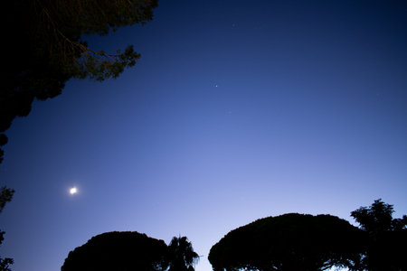 blue sky night with stars and very bright moon with some trees around.
