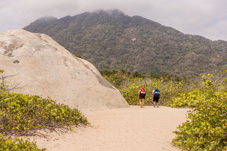 Tayrona National park, Colombia. March 2018.A typical view of hikers hiking in Tayrona national park in colombiaのeditorial素材