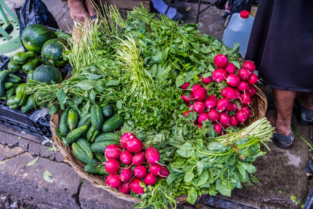 A typical view of a vegetable market stall in San Salvador in El Salvadorの写真素材