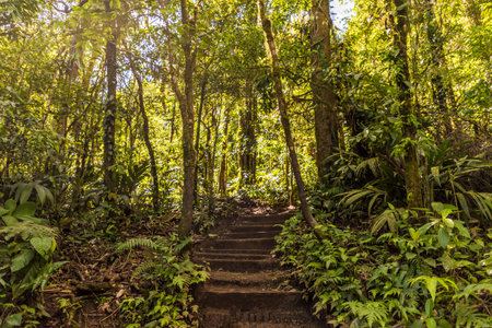 La Fortuna, Costa Rica. March 2018. A view of stair leading to Rio Celeste in Costa Ricaの写真素材