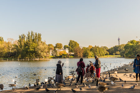 London October 2018. A view of Regents Park in Londonのeditorial素材