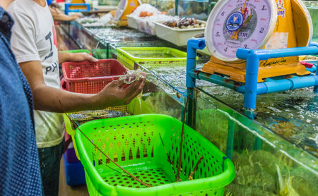 February 2019. Patong Thailand. Live seafood for sale at the The Banzaan food market in Patong Thailandのeditorial素材