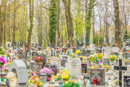 Katowice Poland. April 2019. Cemetery in Katowice, Silesian Poland Europe