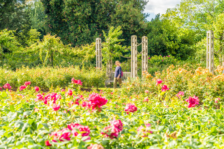 July 2020. London. People relaxing in Regents park in London, England, UKのeditorial素材