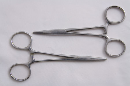 Two Artery Forceps (Surgical Instruments)