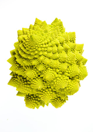 Romanesco (Brassicae oleracea) a member of the cauliflower familly of vegetablesの写真素材
