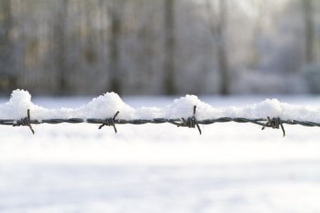 Snow covered strand of barbed wire with shallow depth of fieldの写真素材