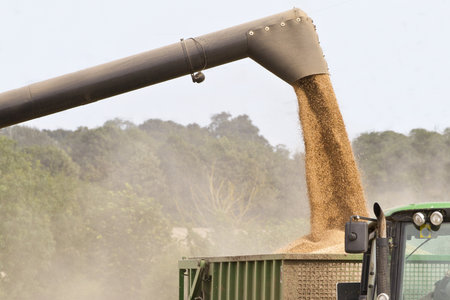Combine harvester offloading grain into a wagon
