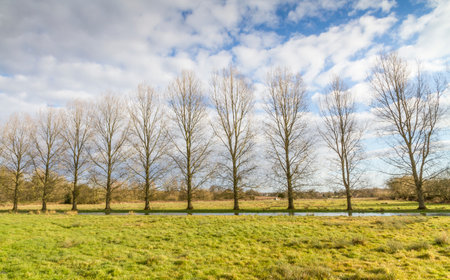 Dorset countryside. Stream meandering through a field lined by trees on the far bankの写真素材
