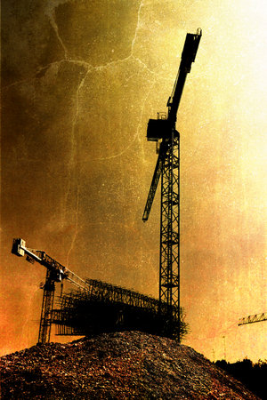 Cranes in the morningの写真素材