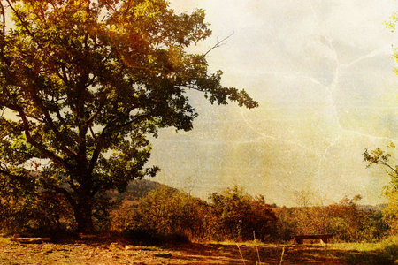 Autumnの写真素材