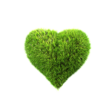 grass heartの写真素材