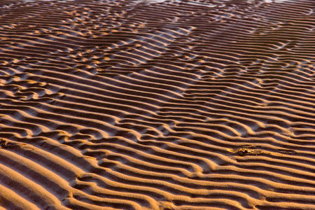 Sand backgroundの写真素材